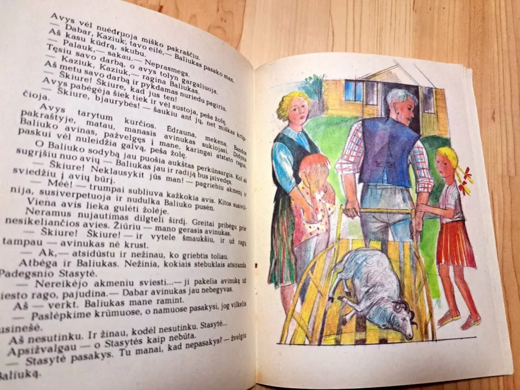 Diena kaip uoga - Jonas Šiožinys, knyga 3