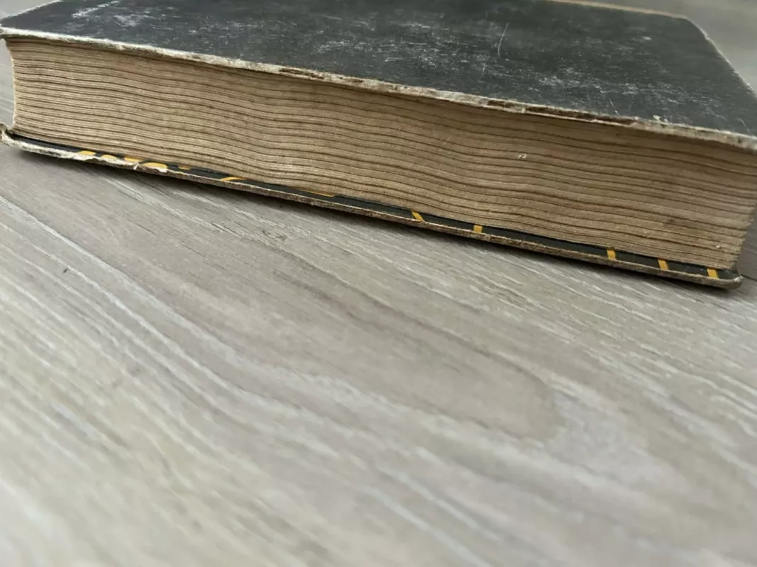 Montesumos duktė - R. Hagardas, knyga 4