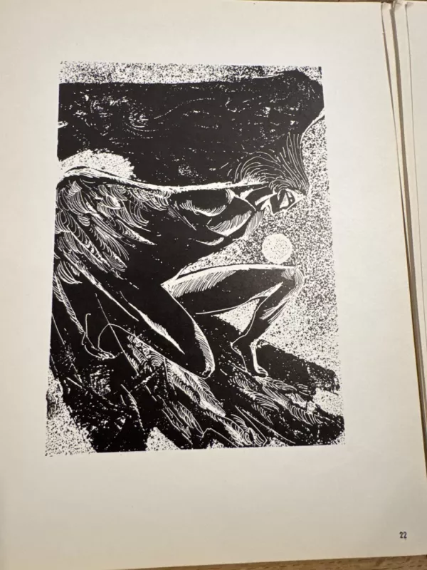 S. Krasauskas - S. Krasauskas, knyga 6