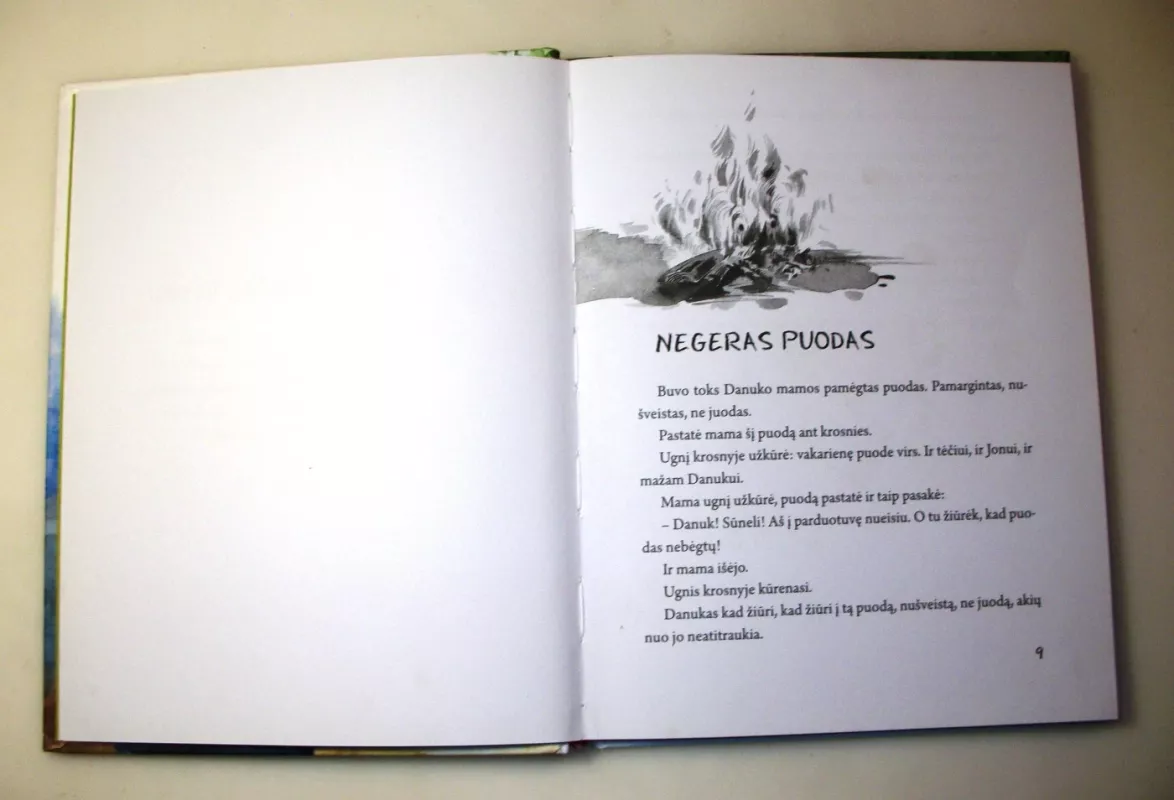 Danuko Dunduliuko nuotykiai (pradžia). Kai aš mažas buvau - Vytautas Misevičius, knyga 5