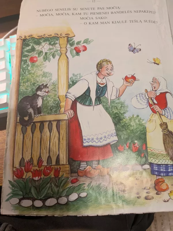 Vištytė ir gaidelis - Alfreda Steponavičienė, knyga 4