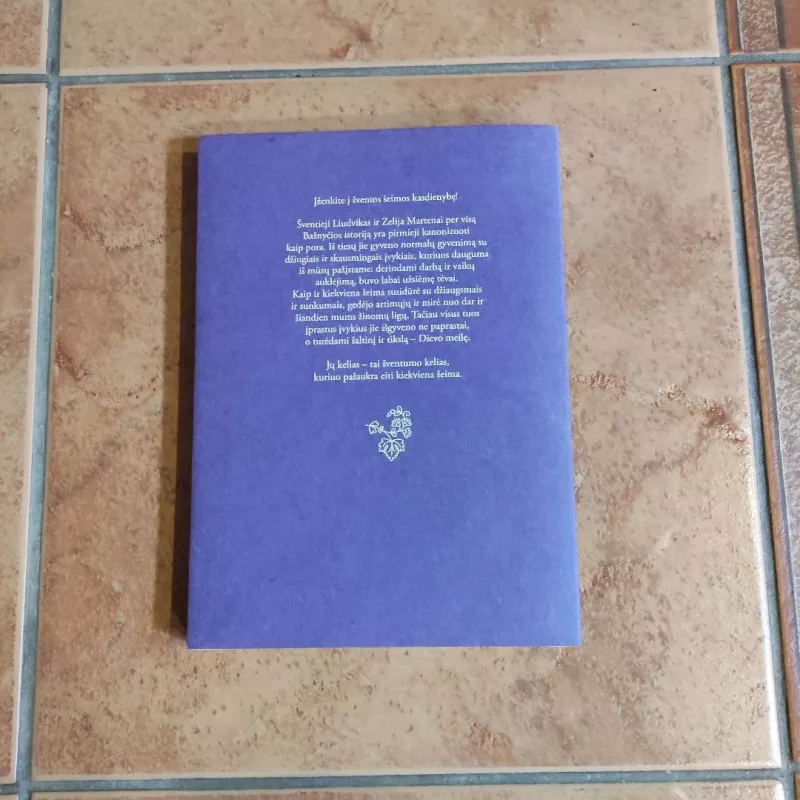 Gražiausi Liudviko ir Zelijos Martenų laiškai - Helene Mongin, knyga 3