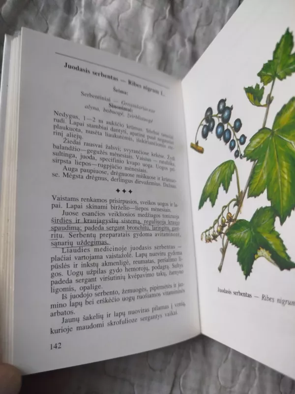 100 gamtos vaistų - Lina Pakutkienė, Valdas  Sasnauskas, knyga 5