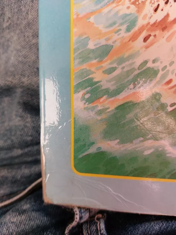 Undinėlė - Mykolas Karčiauskas, knyga 5