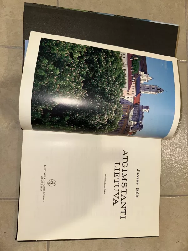 Atgimstanti Lietuva - Juozas Polis, knyga 3