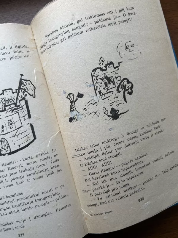 Aukštyn kojom - Donaldas Bisetas, knyga 6