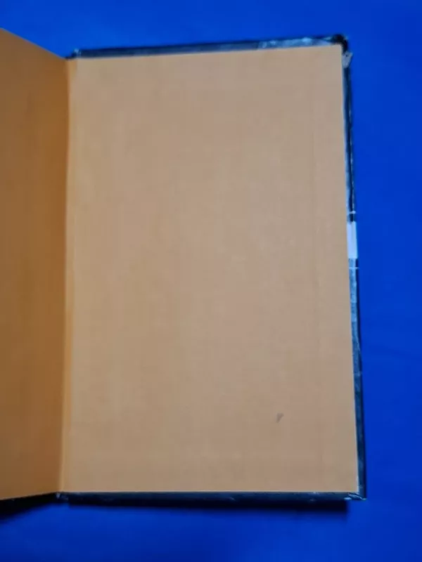 Istorija ir būtis - A. Rybelis, knyga 6