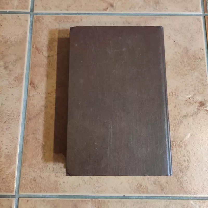 Senovės Rytų poezija - Autorių Kolektyvas, knyga 5