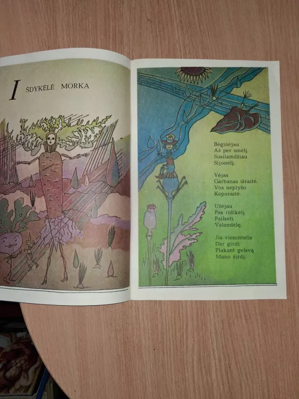 Lietaus nykštukai - Violeta Palčinskaitė, knyga 3