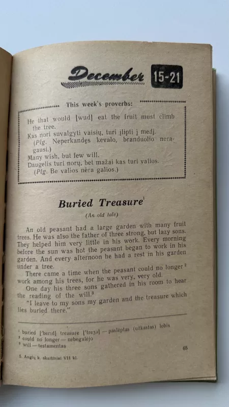 The Everyday English Almanac for Boys and Girls - M. Dubrovinas, knyga 4