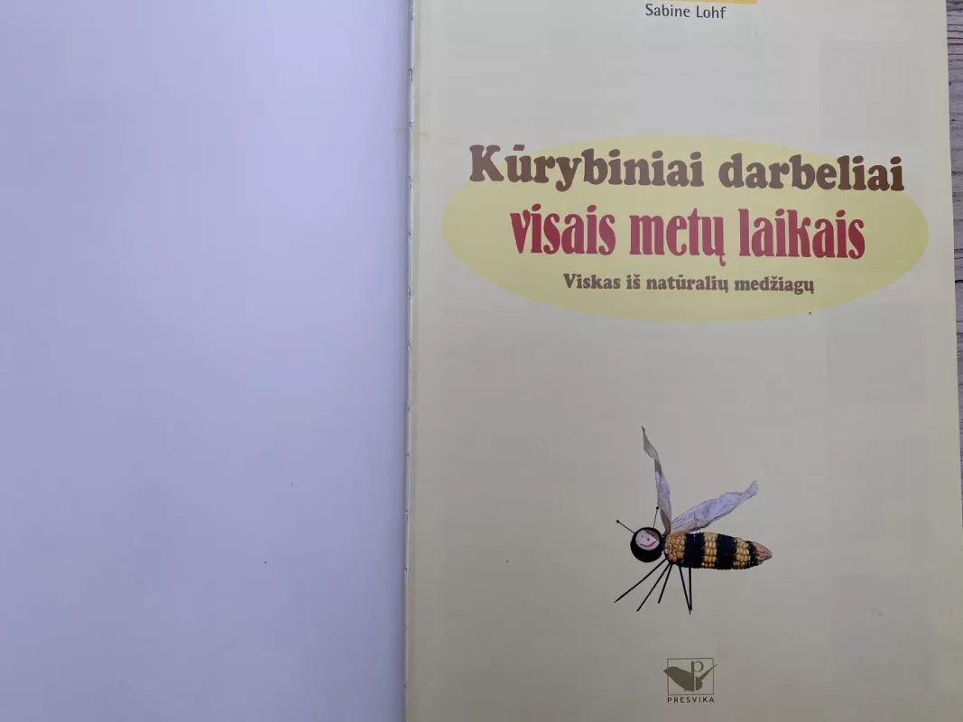 Kūrybiniai darbeliai visais metų laikais - Sabine Lohf, knyga 4