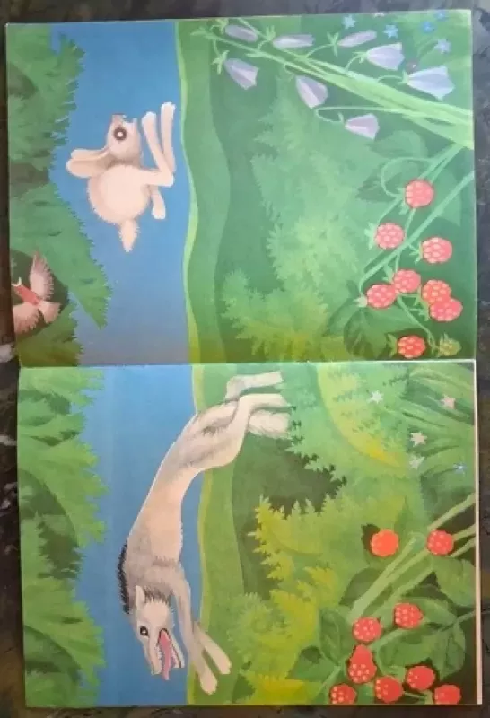 Pasaka apie narsų kiškį - D. Maminas-Sibiriakas, knyga 3