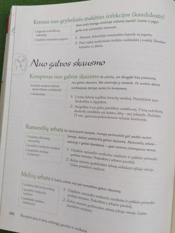 Gaminame patys - Digest Reader's, knyga 5