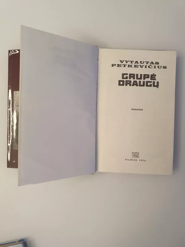 Grupė draugų - Vytautas Petkevičius, knyga 4