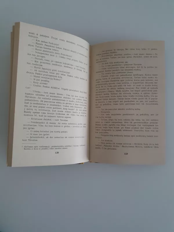 Žalios afrikos kalvos. Turėti ir neturėti - Ernestas Hemigvėjus, knyga 4