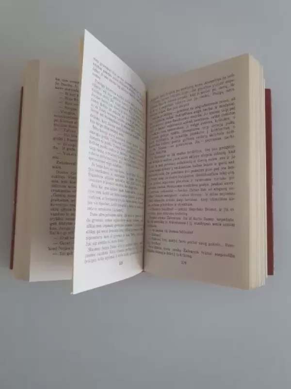 Netikėtas susitikimas - Jonas Marcinkevičius, knyga 5