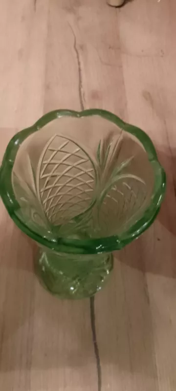 Vazyte - , namai ir interjeras 3