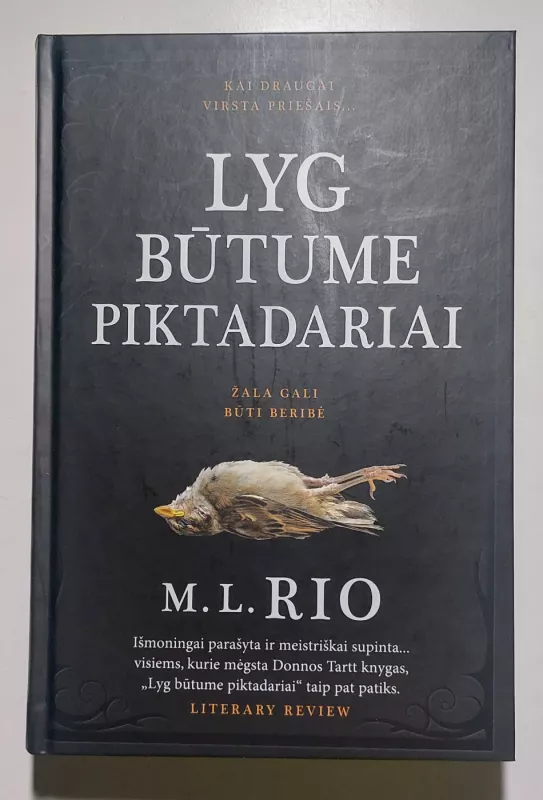 Lyg būtume piktadariai - M. L. Rio, knyga 2