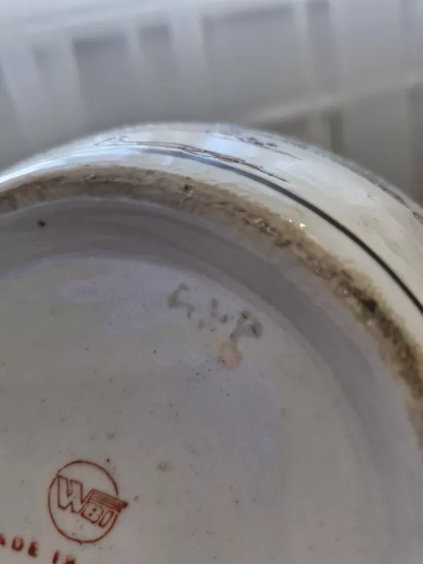 Vaza - , namai ir interjeras 6