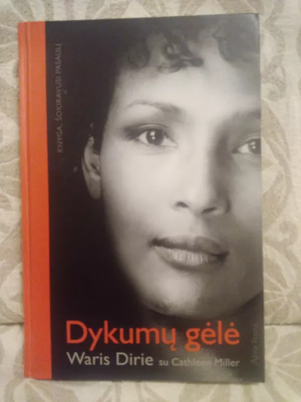 Dykumų gėlė - Waris Dirie, knyga 2