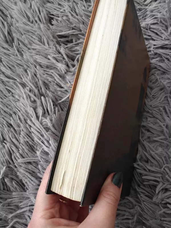 Tik su dukra - Betty Mahmoody, William Hoffer, knyga 3