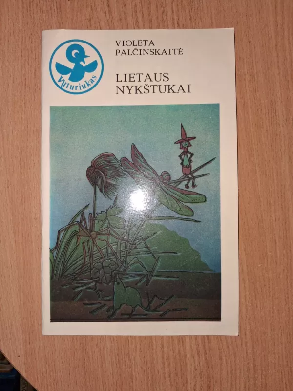 Lietaus nykštukai - Violeta Palčinskaitė, knyga 2