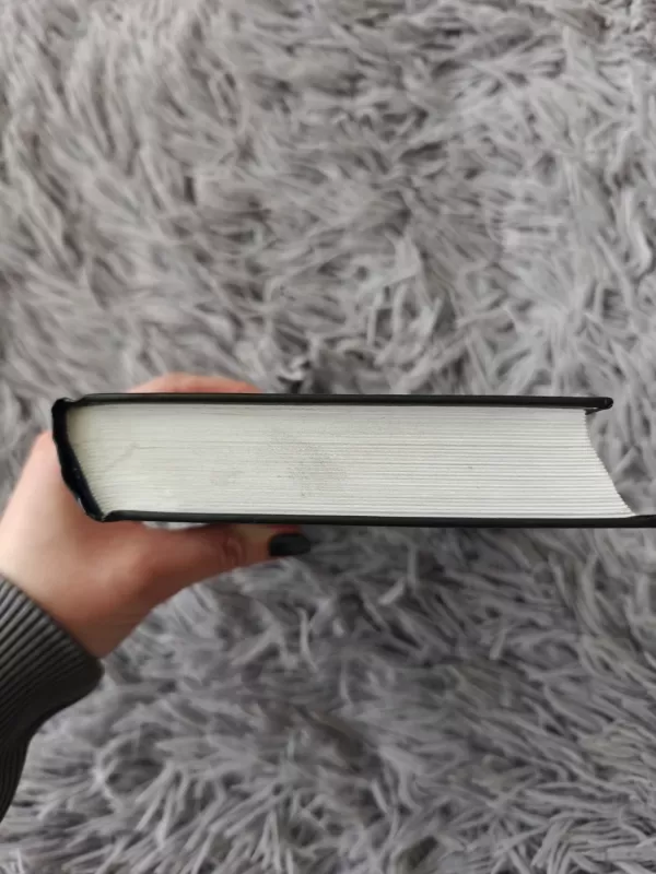 Tik su dukra - Betty Mahmoody, William  Hoffer, knyga 3