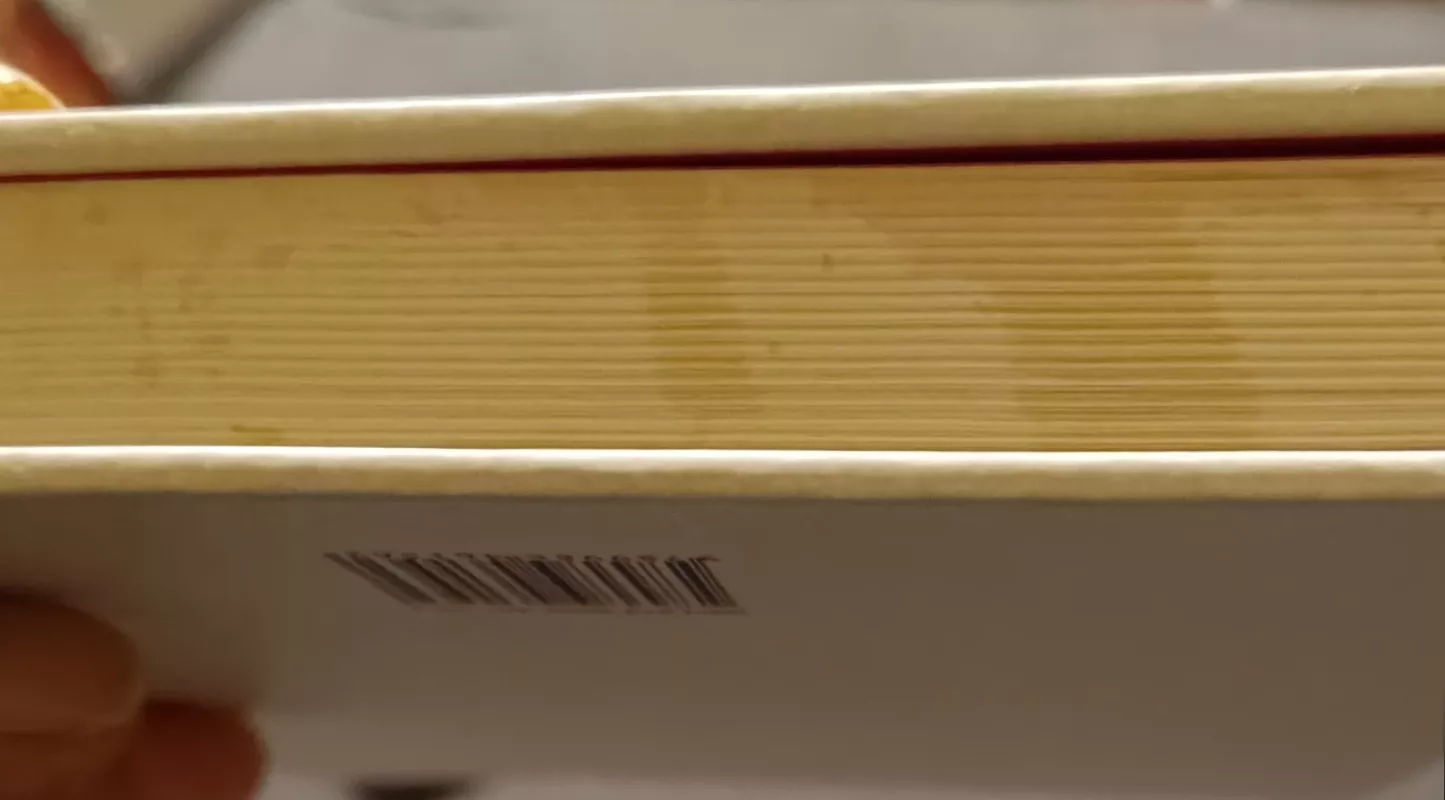 Diplomatas par excelence Kazys Lozoraitis - Giedrė Jankevičiūtė, knyga 3