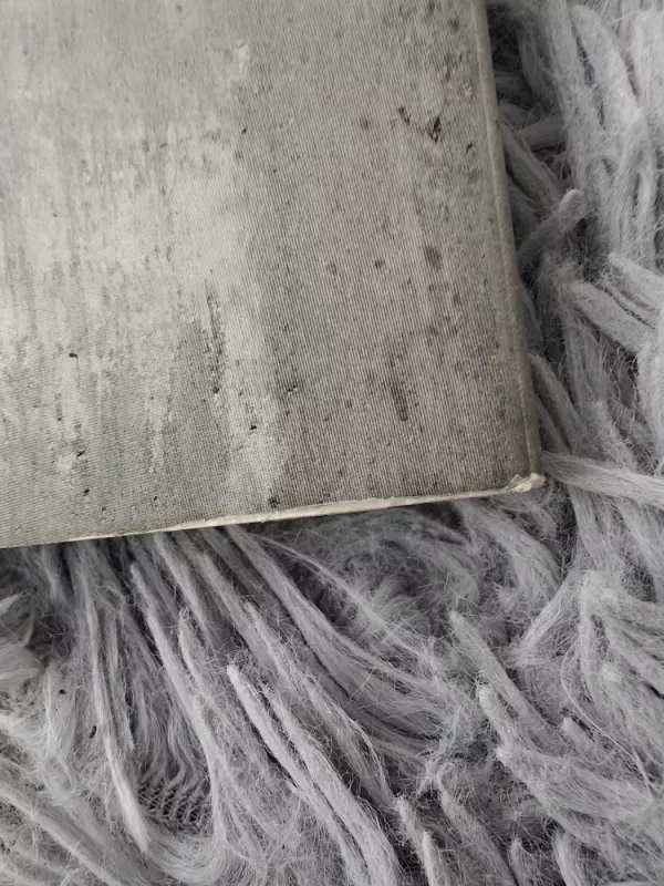 Palestina. Laisvė yra labai graži - Giedrė Steikūnaitė, knyga 5