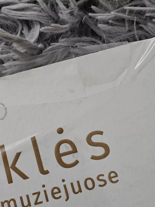 Kanklės Lietuvos muziejuose - Vilma Vilūnaitė, knyga 5