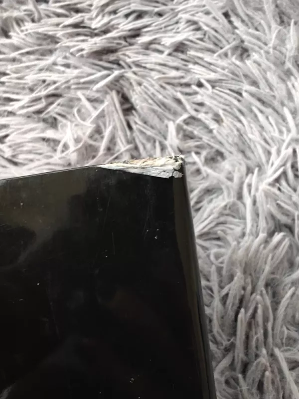 Prasiveržimas. Fotografijos - Valentinas Pečinas, knyga 5