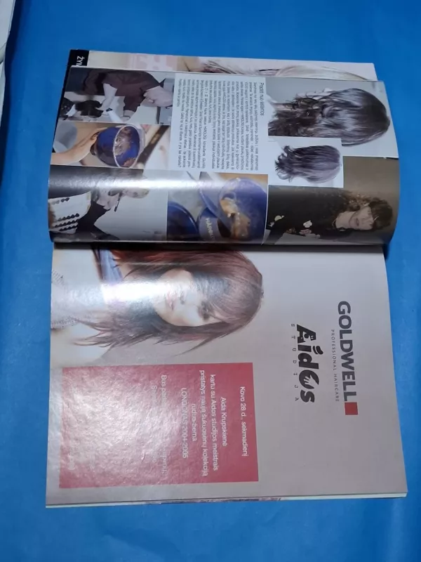 HAIR+, Gintarinė sruoga, 2004 m. Kovas - Autorių Kolektyvas, knyga 3