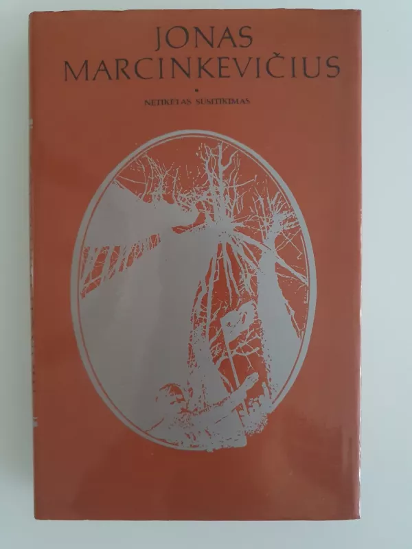 Netikėtas susitikimas - Jonas Marcinkevičius, knyga 2