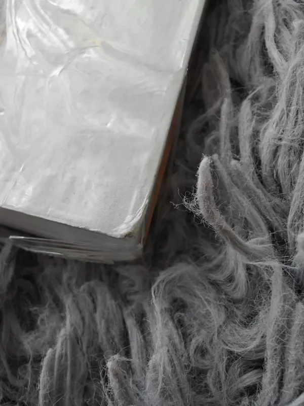 Kanklės Lietuvos muziejuose - Vilma Vilūnaitė, knyga 3