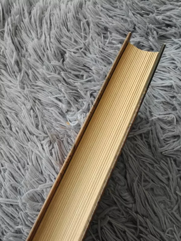 Tylos slėnis - Nora Roberts, knyga 4