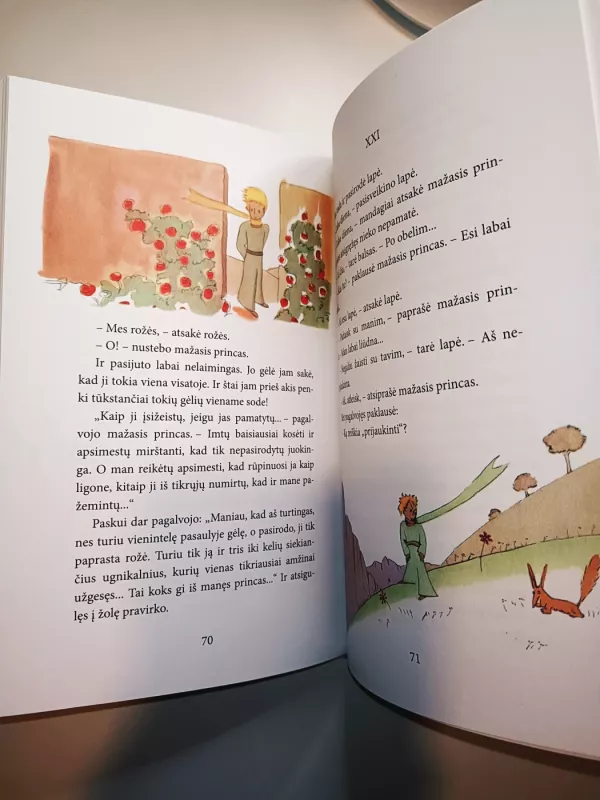 Mažasis princas - Antoine de Saint-Exupéry, knyga 5