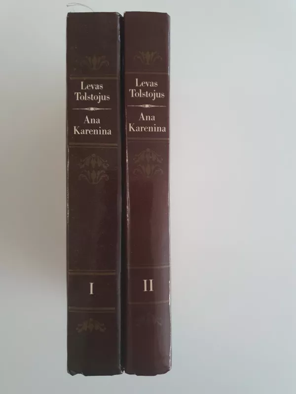 Ana Karenina - Levas Tolstojus, knyga 4