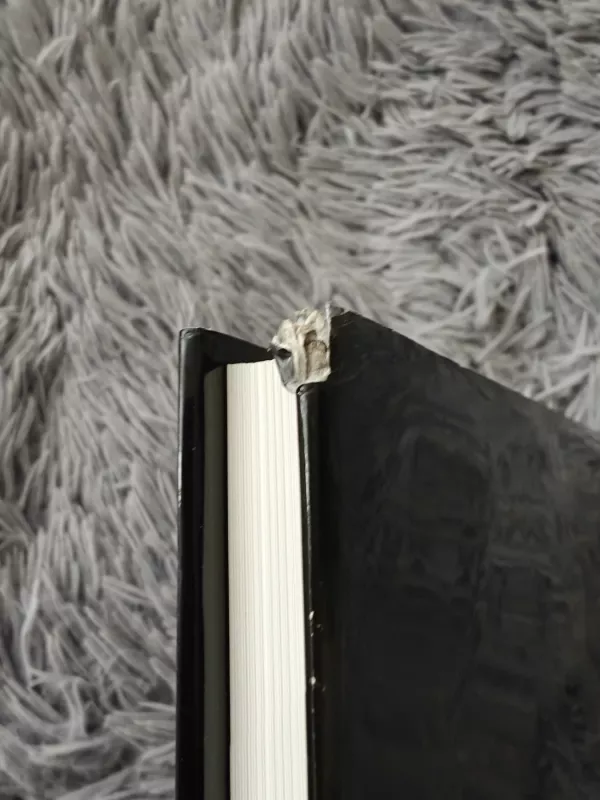 Prasiveržimas. Fotografijos - Valentinas Pečinas, knyga 4