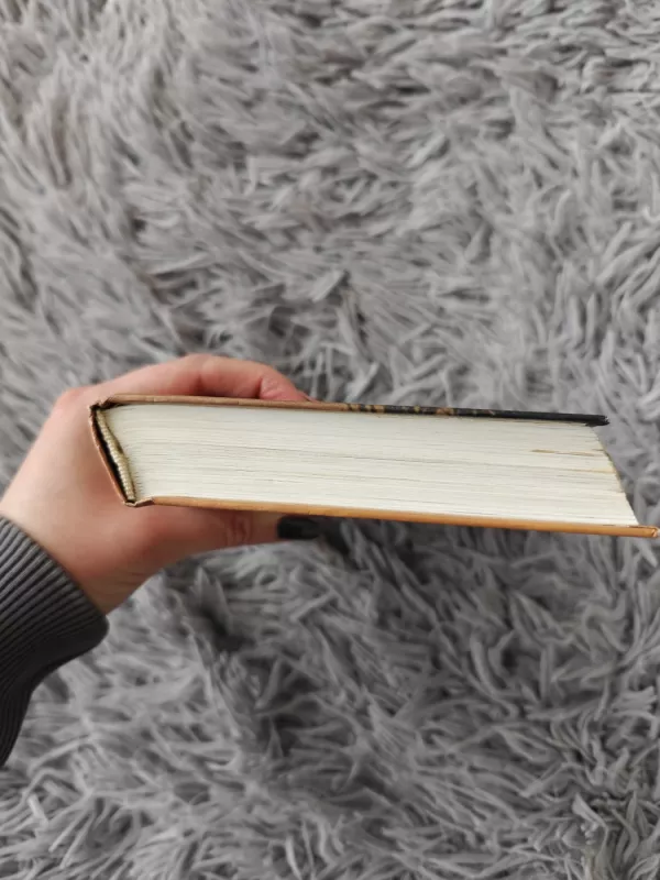 Tik su dukra - Betty Mahmoody, William Hoffer, knyga 5