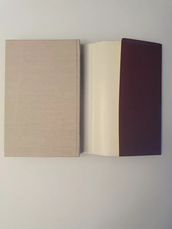 Grupė draugų - Vytautas Petkevičius, knyga 6