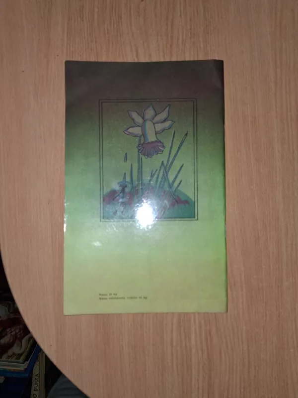 Lietaus nykštukai - Violeta Palčinskaitė, knyga 4