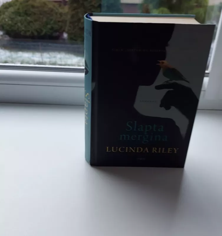 Slapta mergina - Lucinda Riley, knyga 3