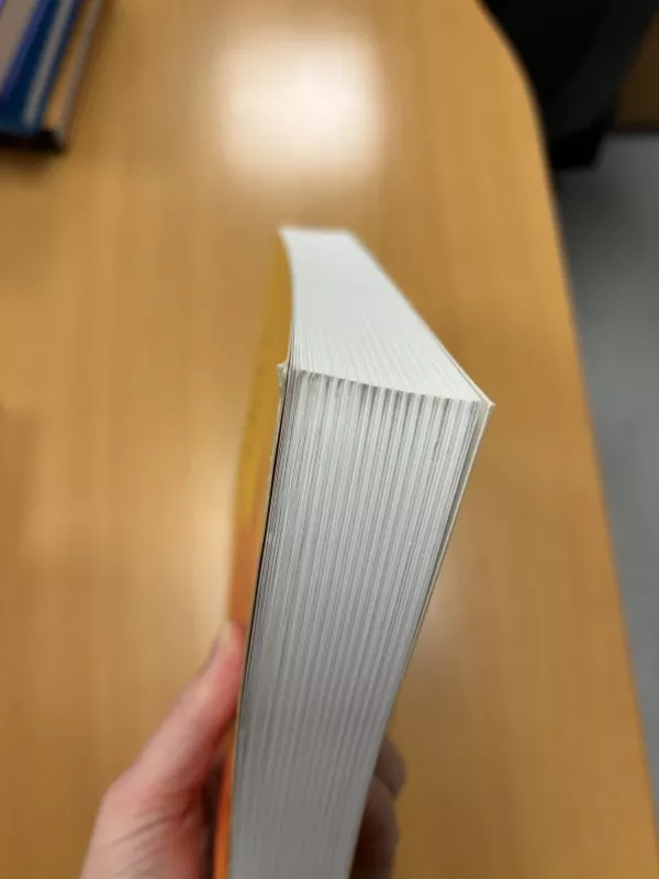 Skirtingi, bet lygūs visuomenėje ir darbuotėje - A. Bagdonas, ir kiti , knyga 6