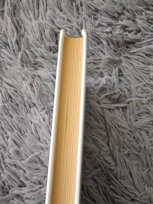 Gyvas dangaus įrodymas - Eben Alexander, knyga 4