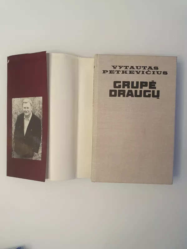 Grupė draugų - Vytautas Petkevičius, knyga 3