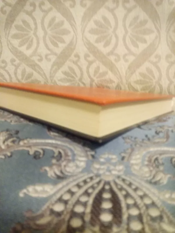 Dykumų gėlė - Waris Dirie, knyga 4