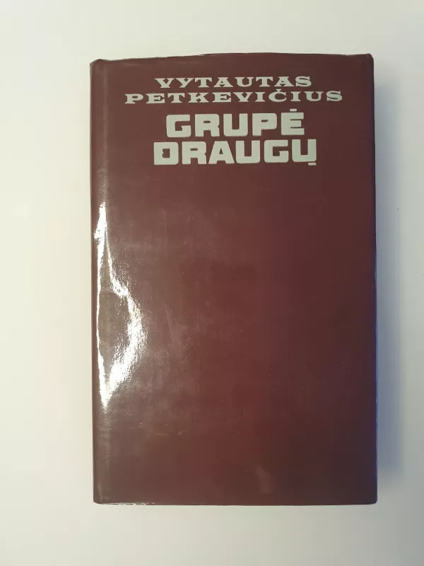 Grupė draugų - Vytautas Petkevičius, knyga 2