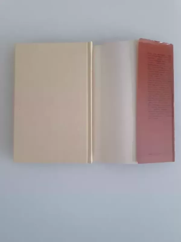 Netikėtas susitikimas - Jonas Marcinkevičius, knyga 6