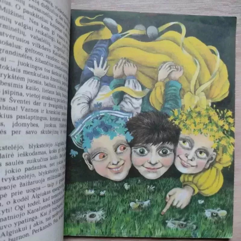 Stebuklinga spanguolė - Jurga Ivanauskaitė, knyga 5