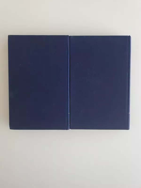 Idiotas - Fiodoras Dostojevskis, knyga 5